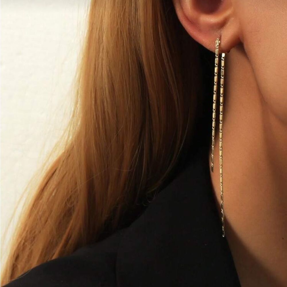 Chain Drop Earrings N1675